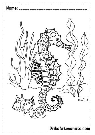 Desenho Para Colorir cavalo marinho - Imagens Grátis Para Imprimir