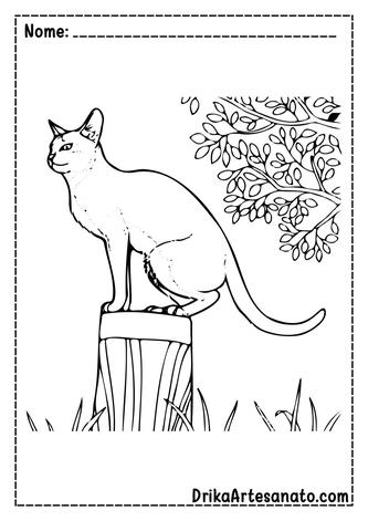 Desenhos para colorir gratuitos de Gatos para baixar - Gatos