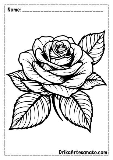 desenho para colorir rosa